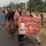 Gagas Acara Unik Berbalut Hari Batik, Balon Kades Muncang Pemalang Daryoto Jadi Harapan Baru Mayoritas Warga